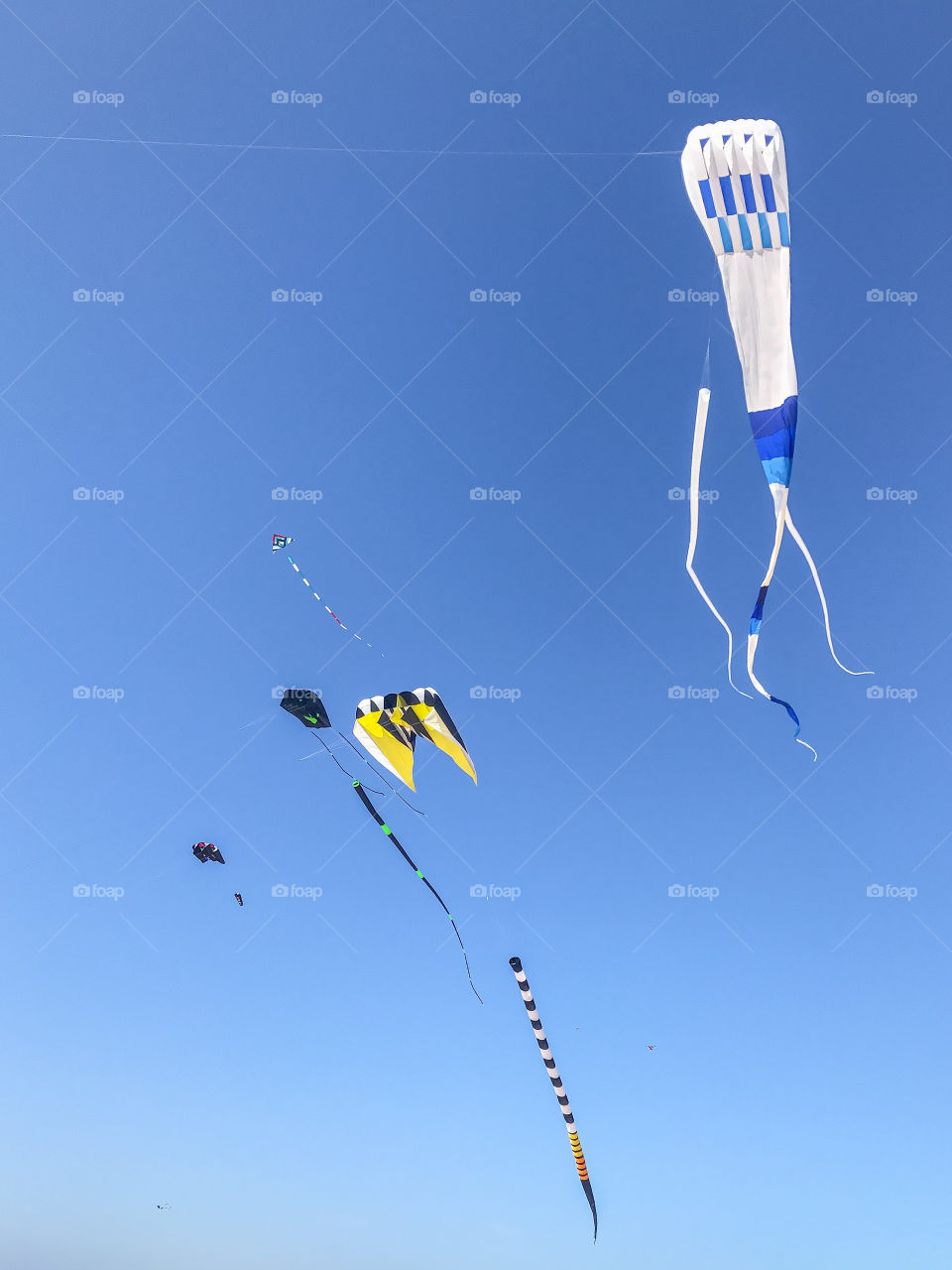 Flying Kites through Clear Blue Skies on the Beach at the Lake