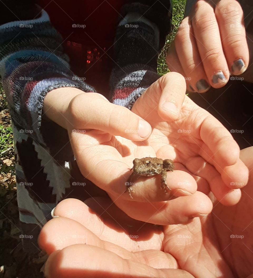 Holding a Tiny Frog