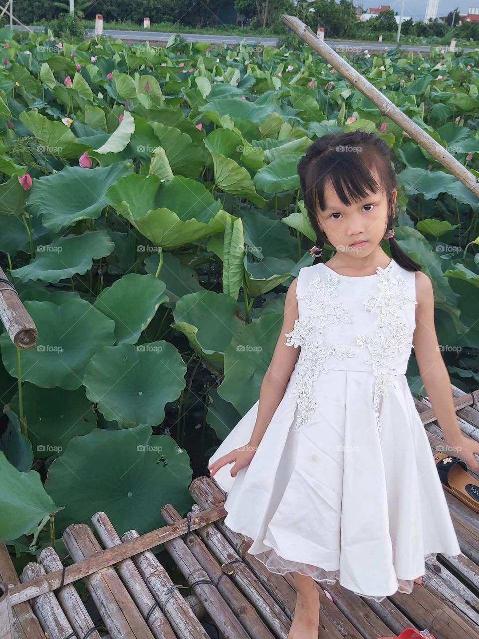 lotus pond and baby girl