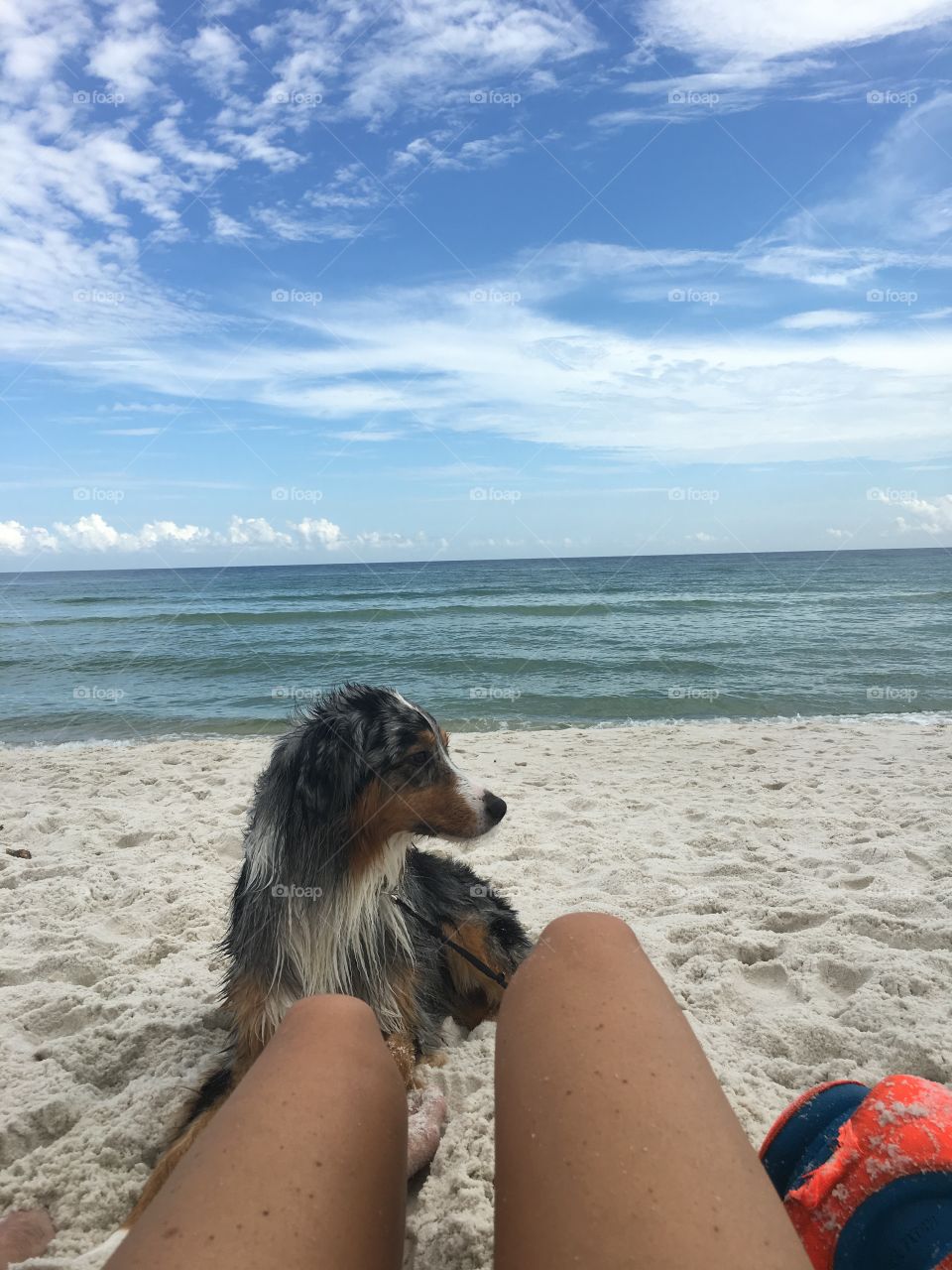 Never stop imagining 