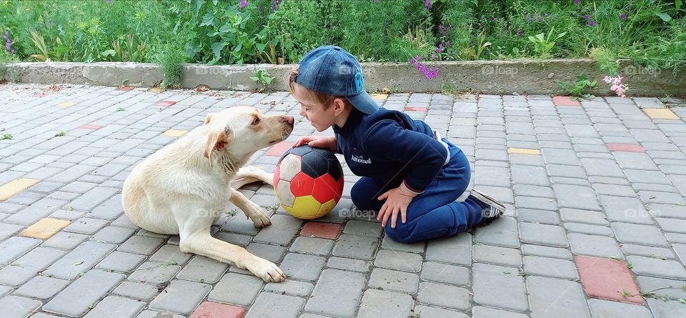 a kid with a dog