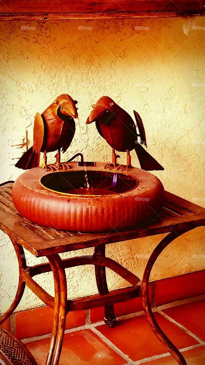 Crows on a Bowl