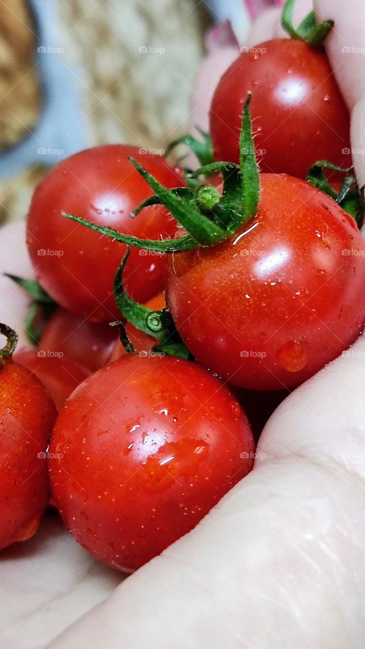Cherry tomatoes