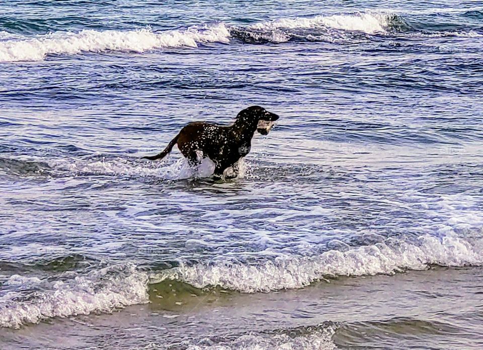 Summer time 🐾🐾