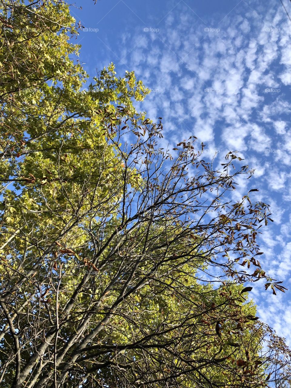 October sky in Ukraine 