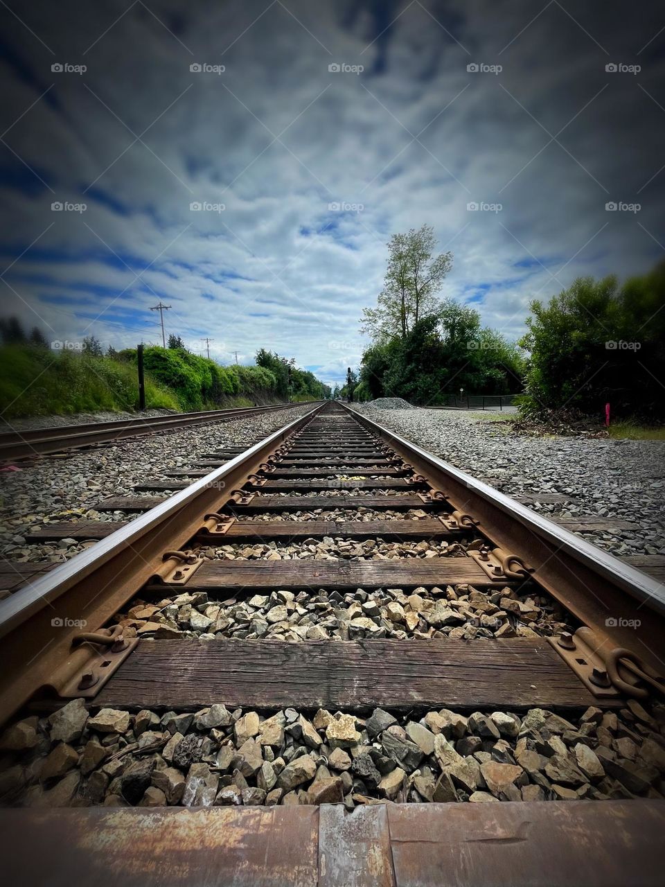 Railroad tracks extend one after the other into the horizon towards University Place, Washington from Titlow Beach, Tacoma