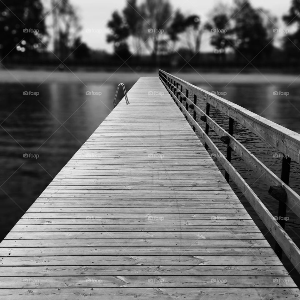 Bridge at lake