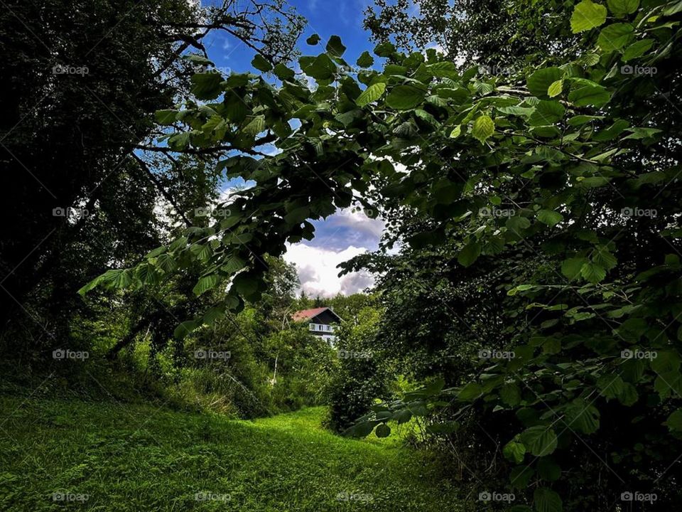 An afternoon in Jura's Nature.