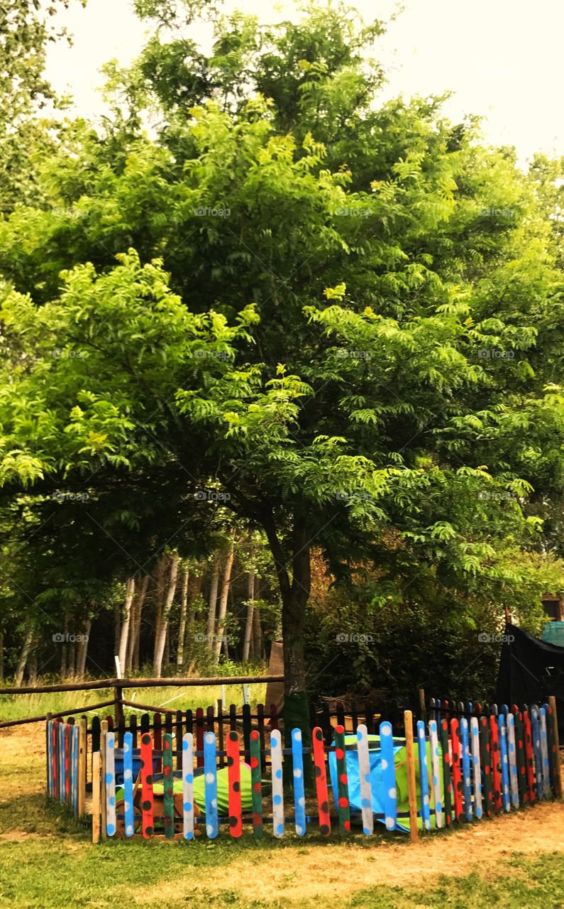 Naturaleza coloreada