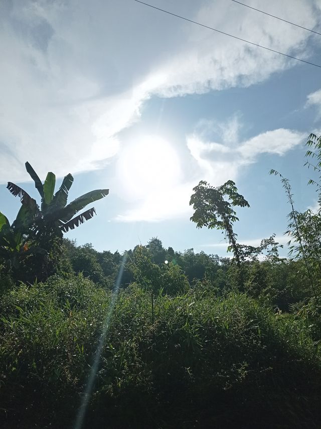 The sun shines...