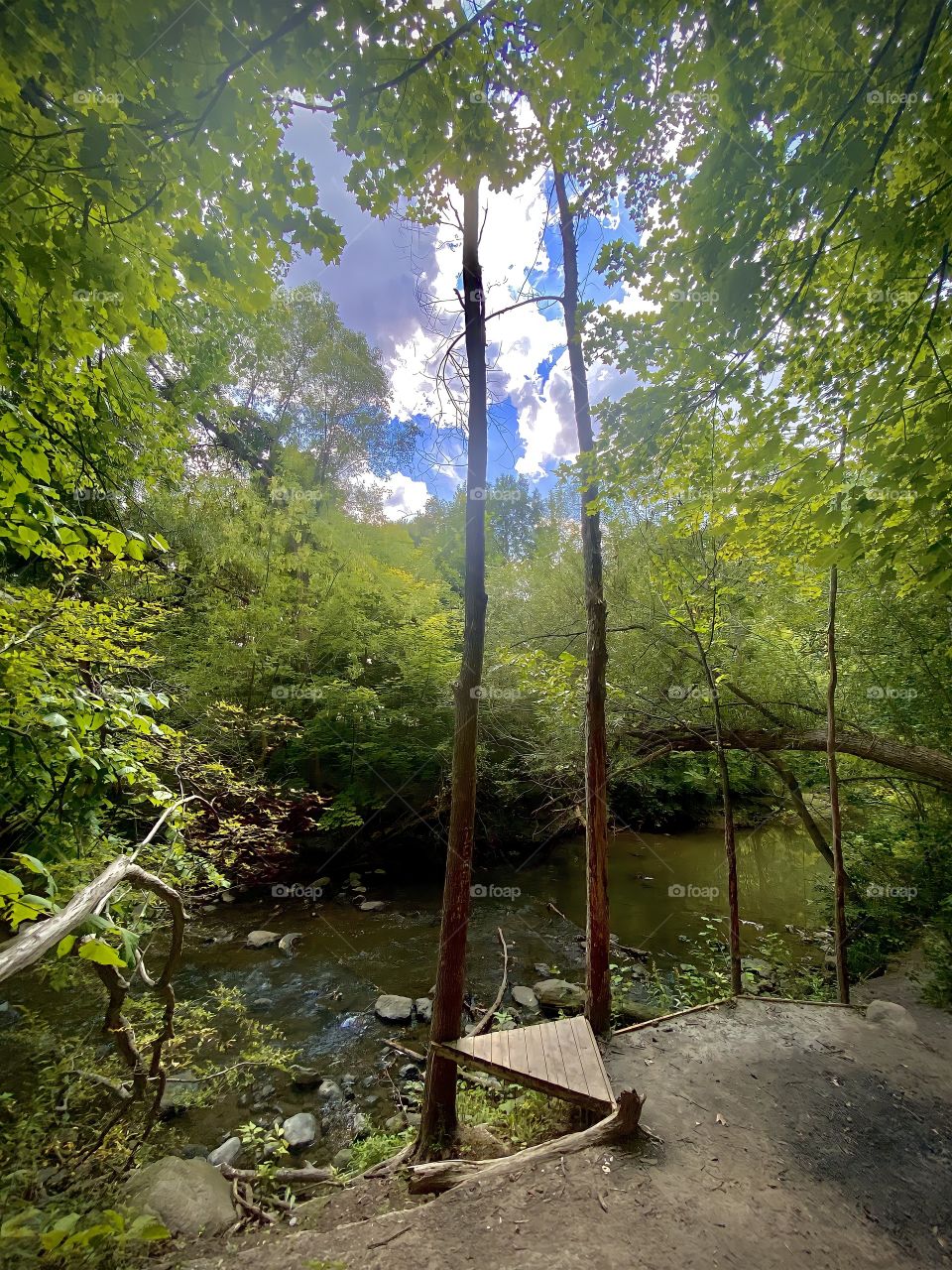 Isolation is to discover