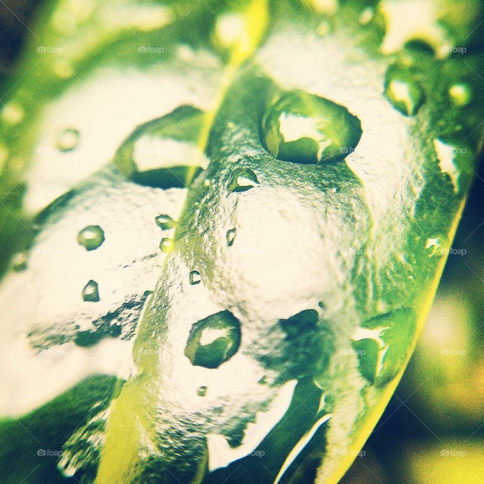 Droplets