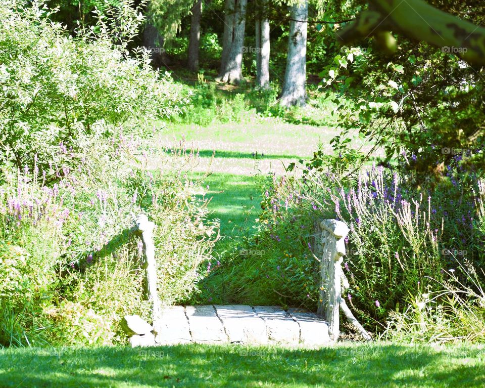 A bridge stands in the sun