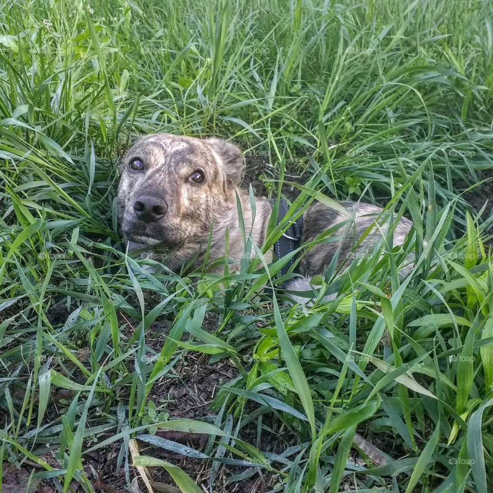Oh come on! I stay here and you can bring me some meat ♥️😆