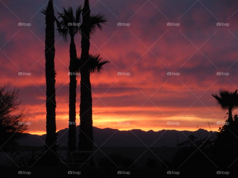 Arizona sunset 