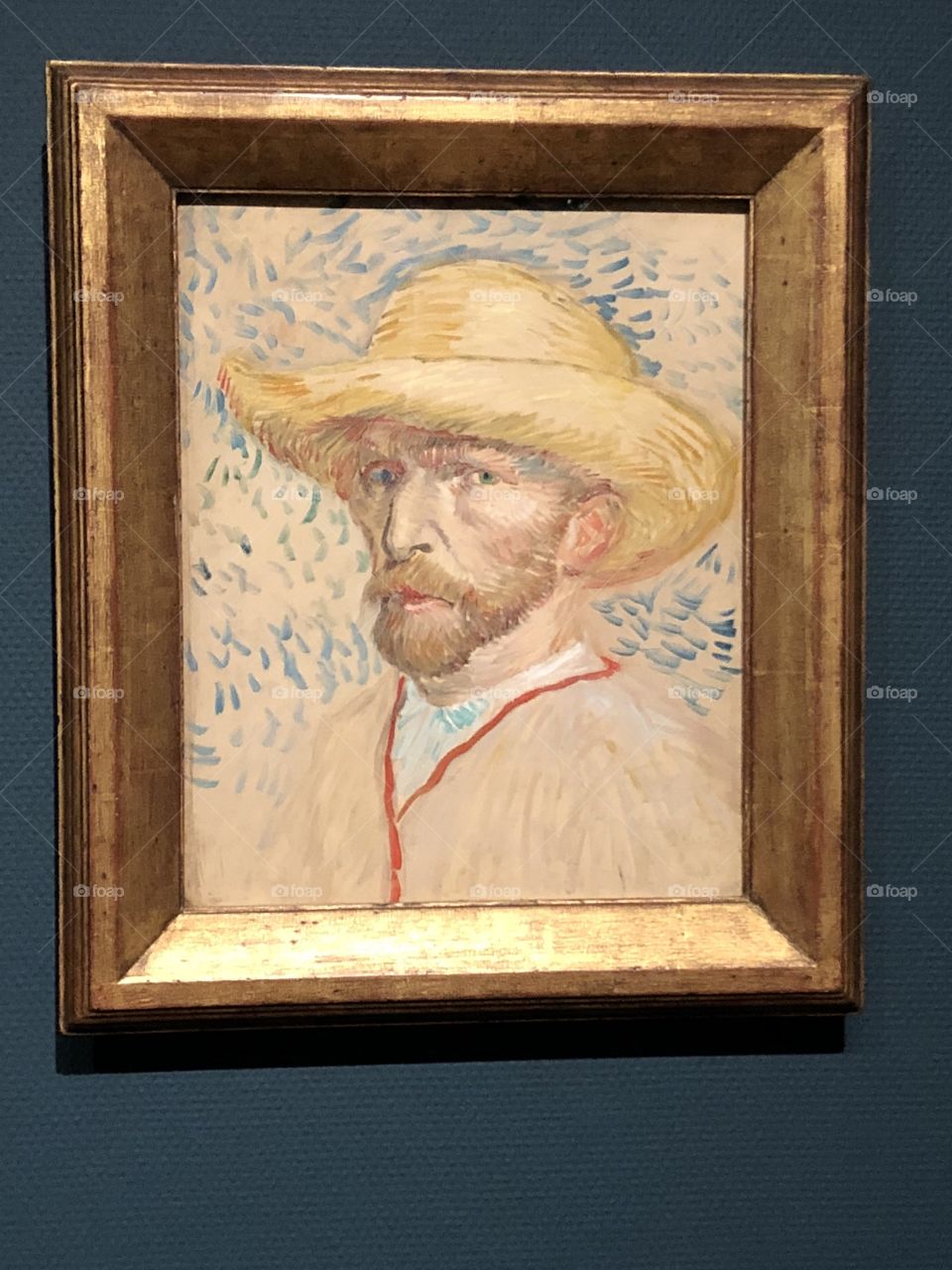 Amazing Van Gogh 