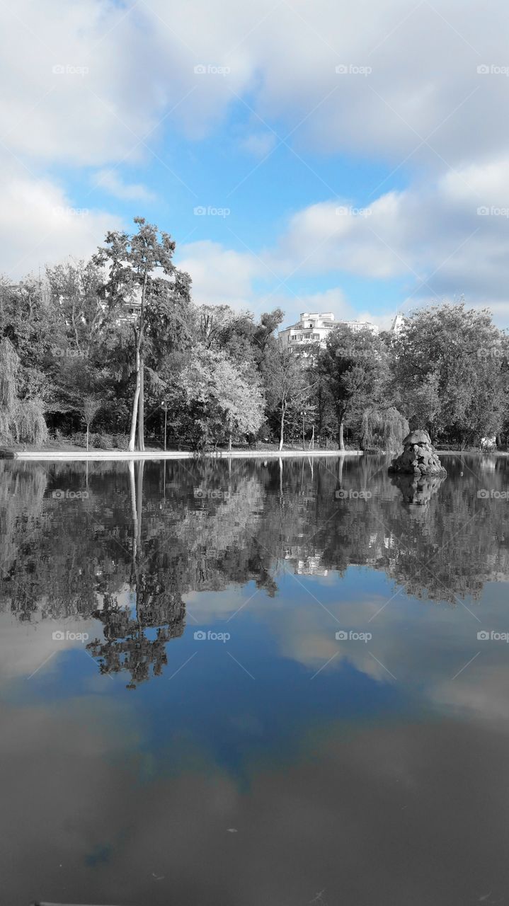 Reflections of a blue day in a lake