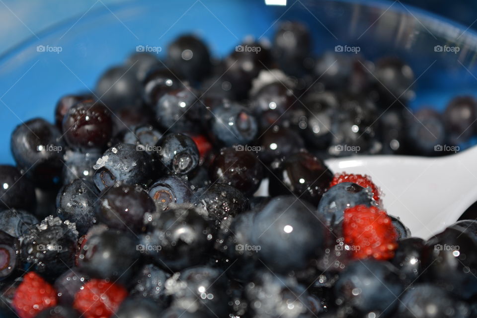 red blueberries summer food on a plate eating blue table background