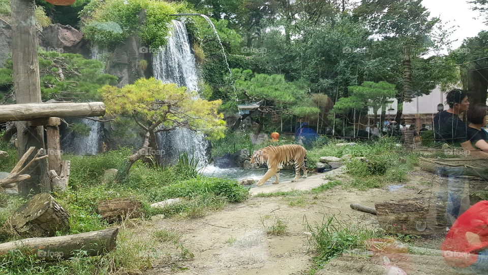 Thirsty or need a bath?