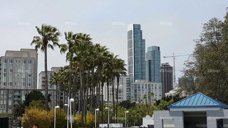 Sunny San Francisco. a day in the city  by the bay