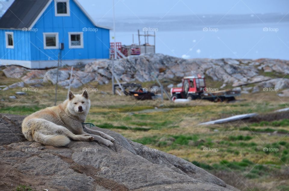 Greenland