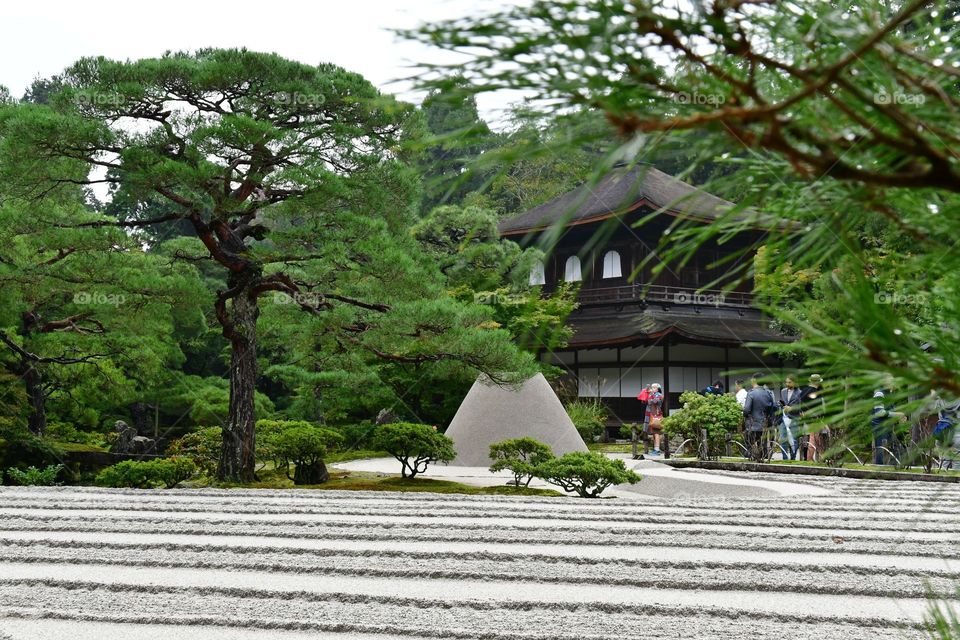 Japanese garden