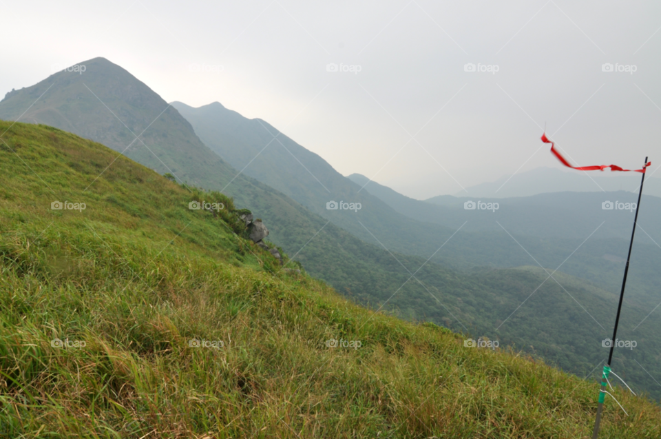 green nature grass alone by hkjohan