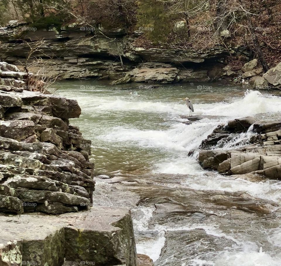 Sentry on waterfall 