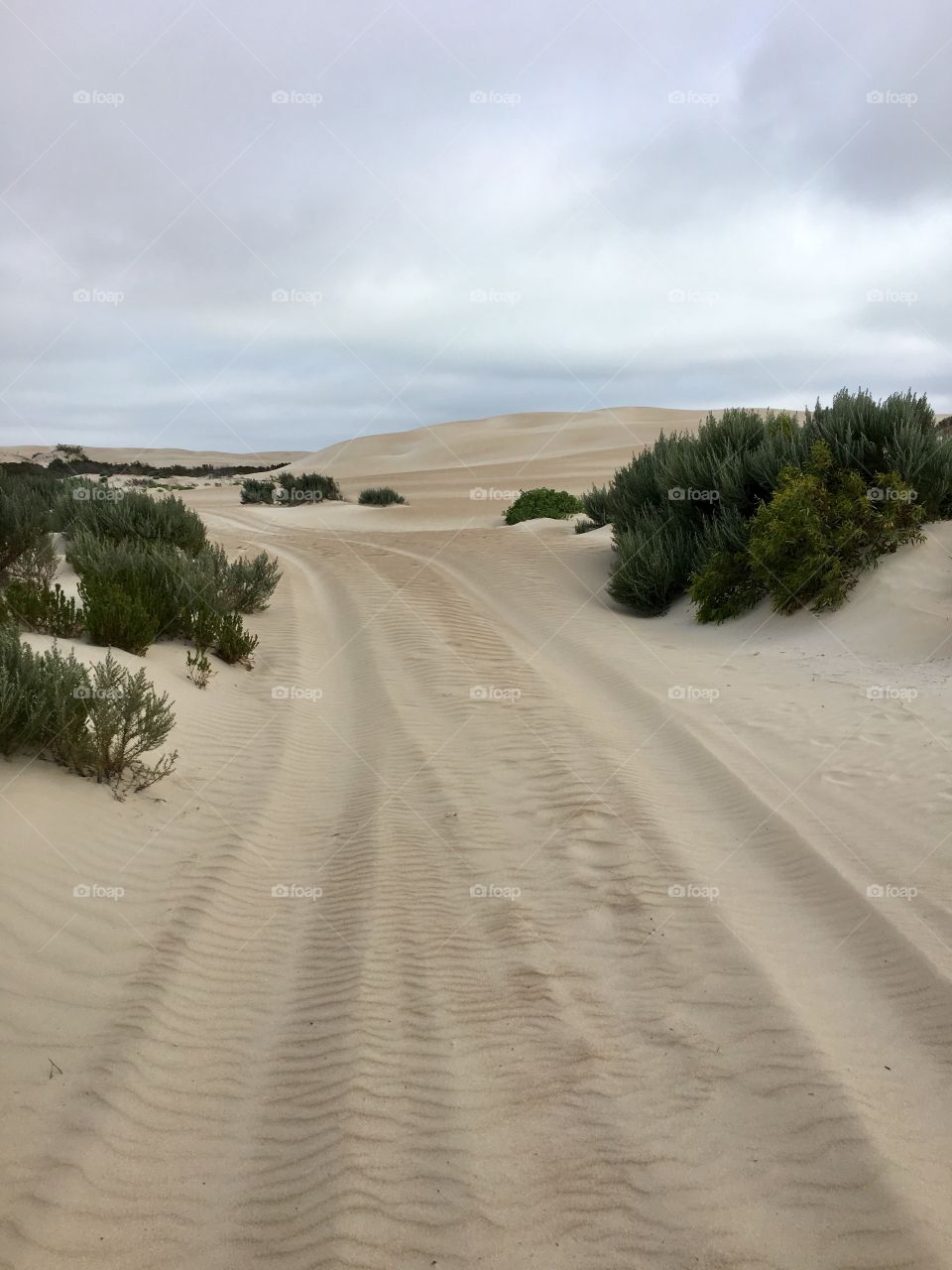 Four wheel driving in the sand dunes south Australia in remote area by the sea 