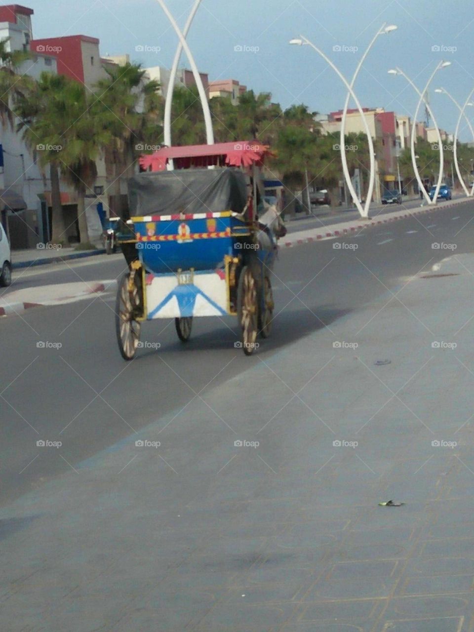 Public transport in Morocco:  caleche.