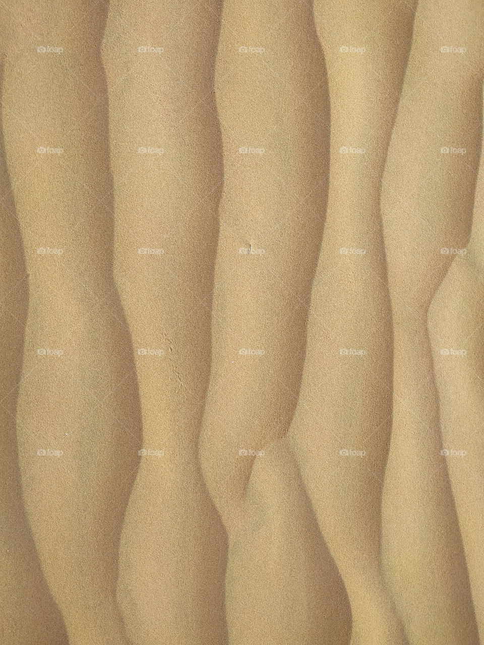 A closeup of sand dune texture