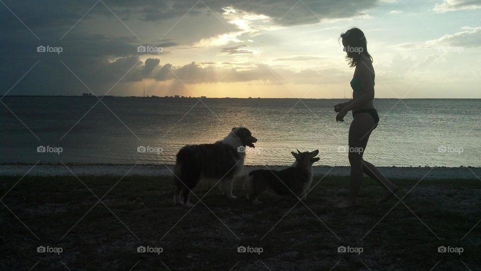 Sunset on the beach with man's best friend is the best way to end a vacation