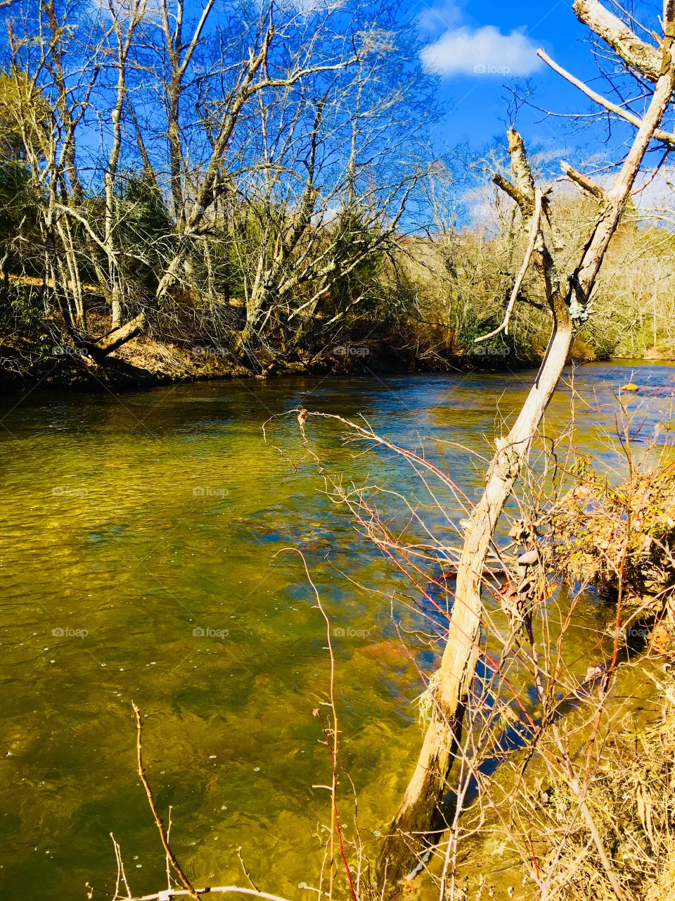 Creek 