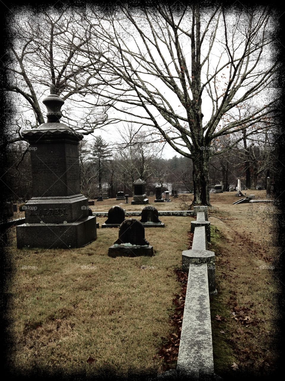 
Morning walk through the cemetery 
