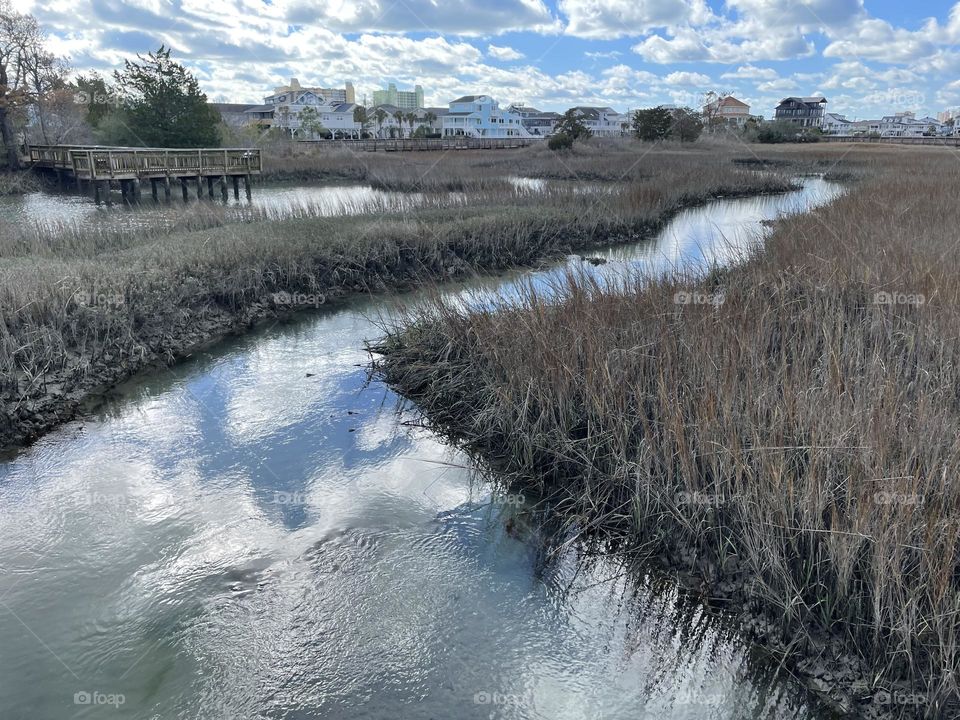 Marsh Reflections