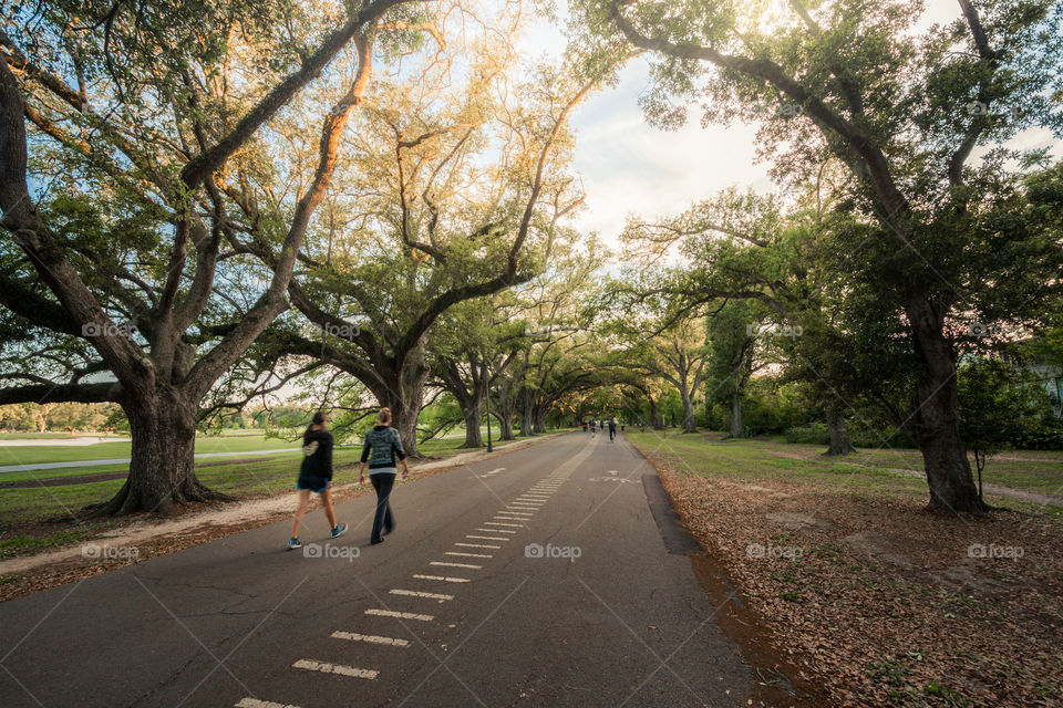 Girls walking in the park