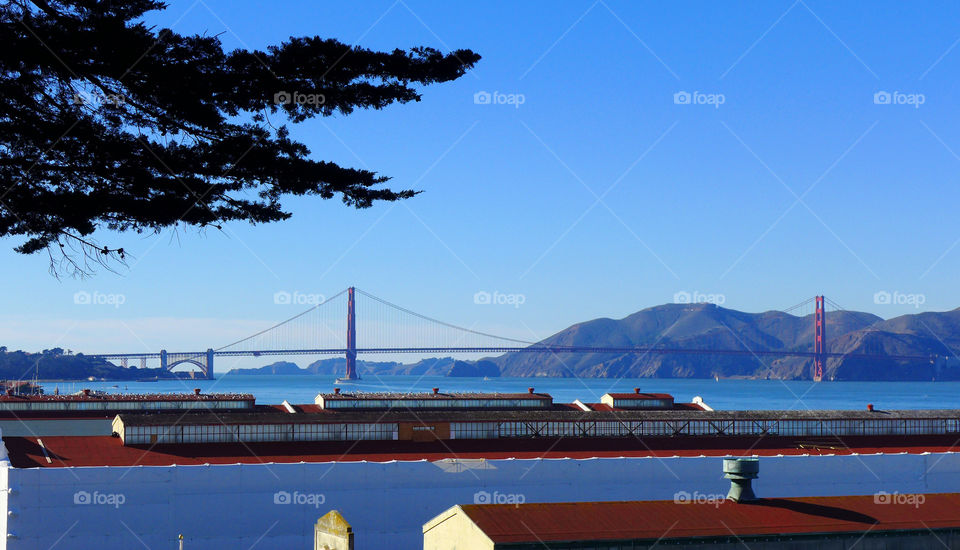 Suspension bridge, San Francisc