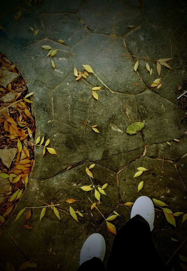 autumn