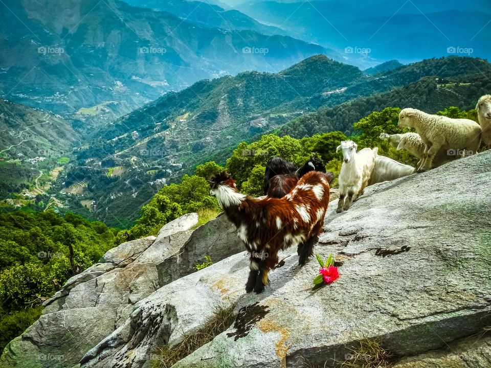 amazing mountains view