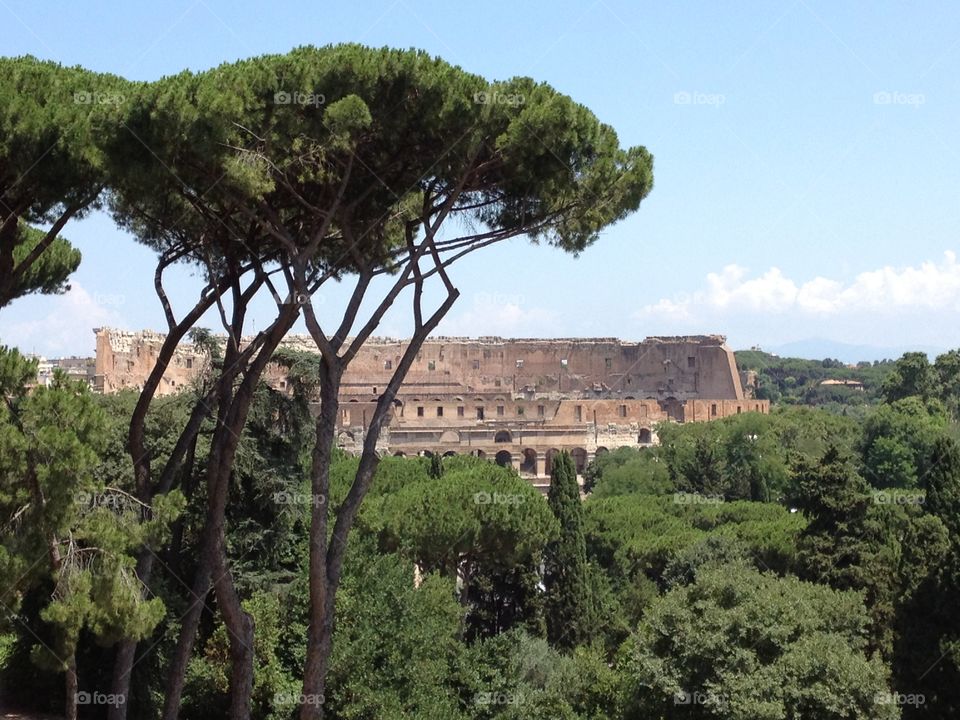 View of the Roman coliseum from the ancient Roman palace