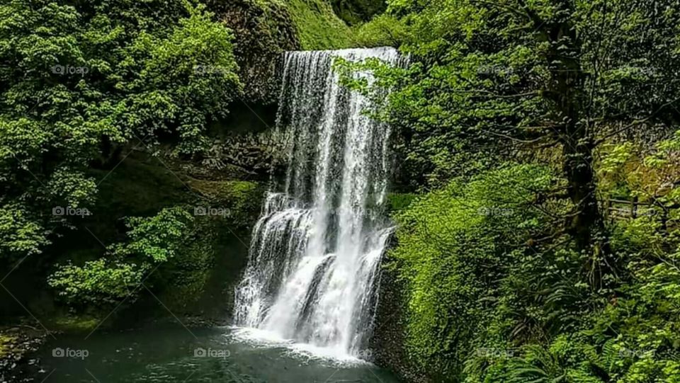 Silver Falls, Oregon
