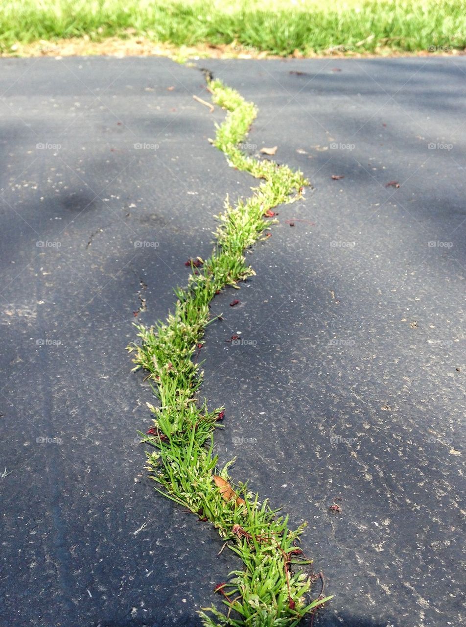 Growing crack in asphalt driveway