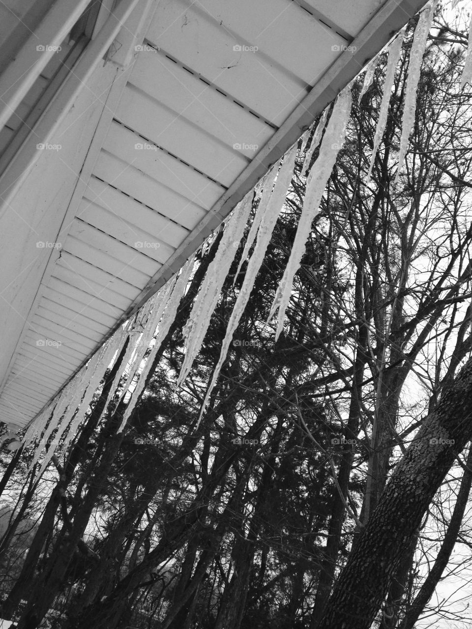 Icicles 
Black and white 