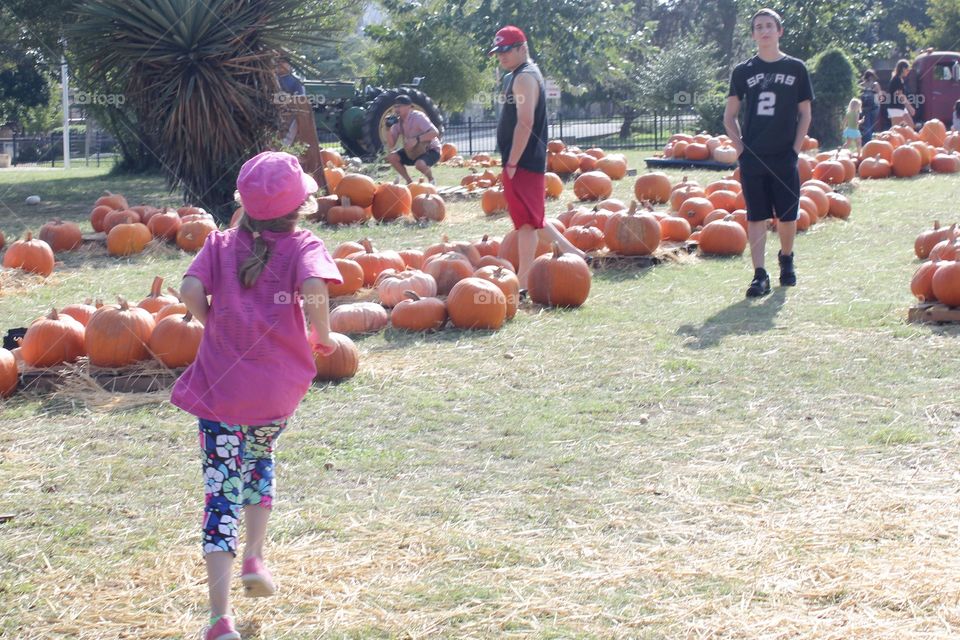 Fun at the pumpkin patch 