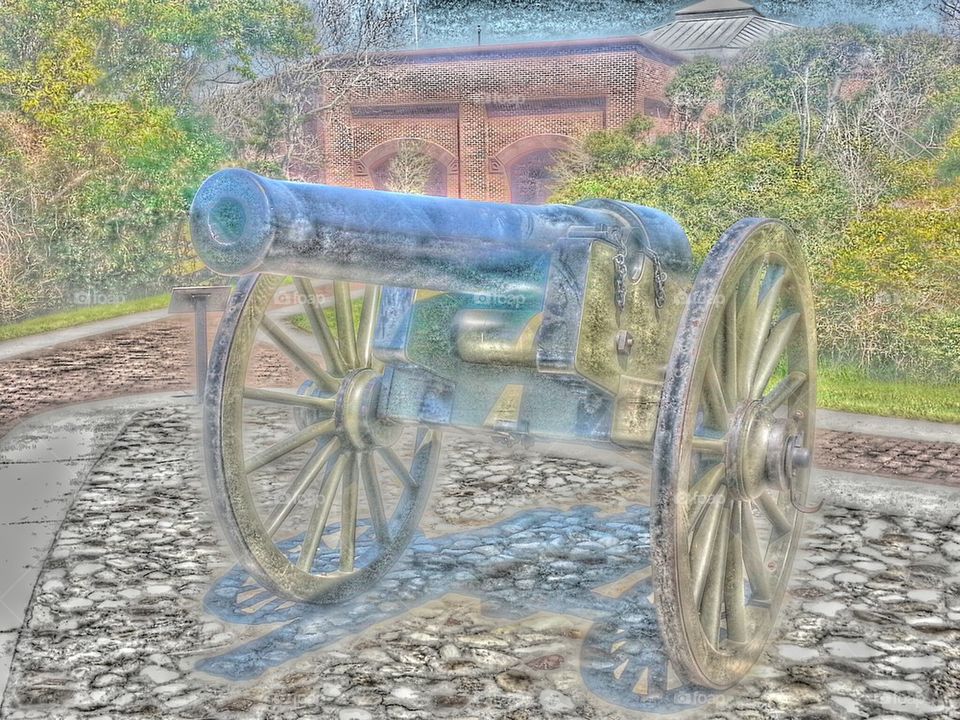 cannon beauty