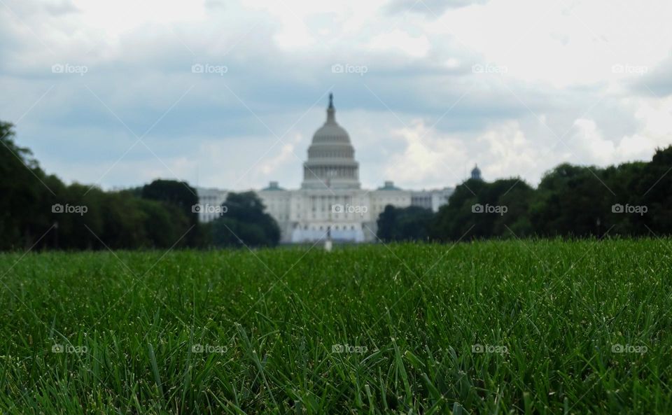the front lawn of the capitol building in washington, dc