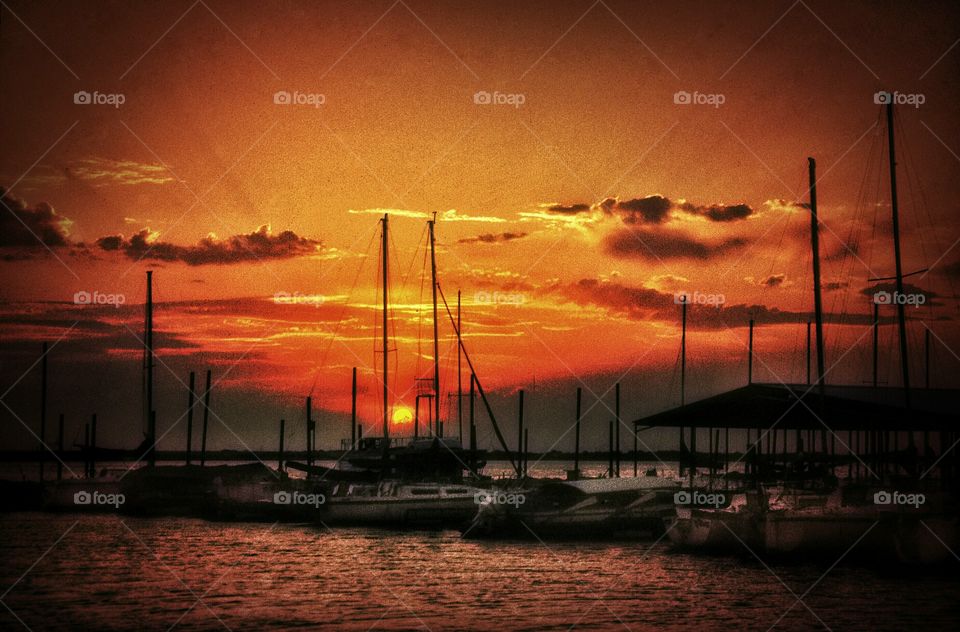 Sunset Harbor