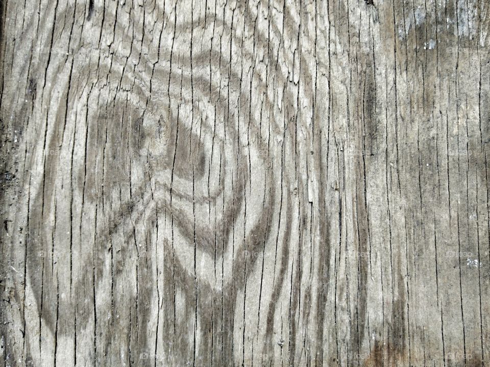 Full frame shot of wooden wall