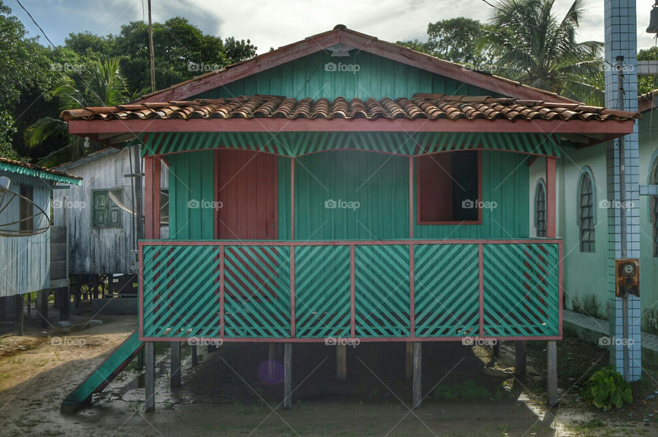 amazon house