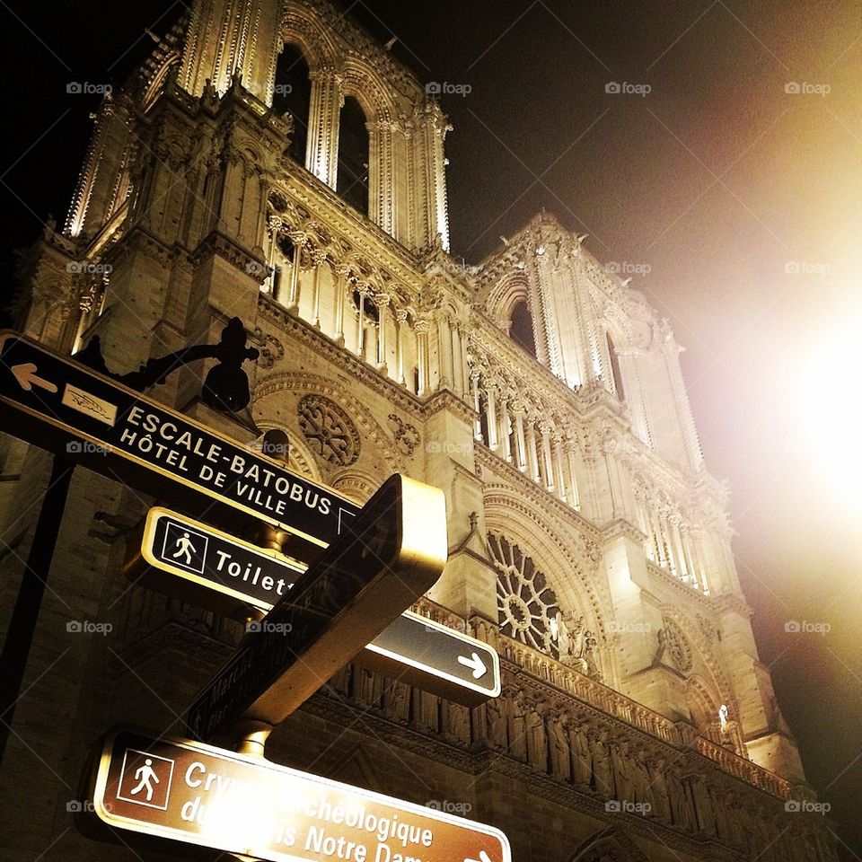 Notre Dame by night